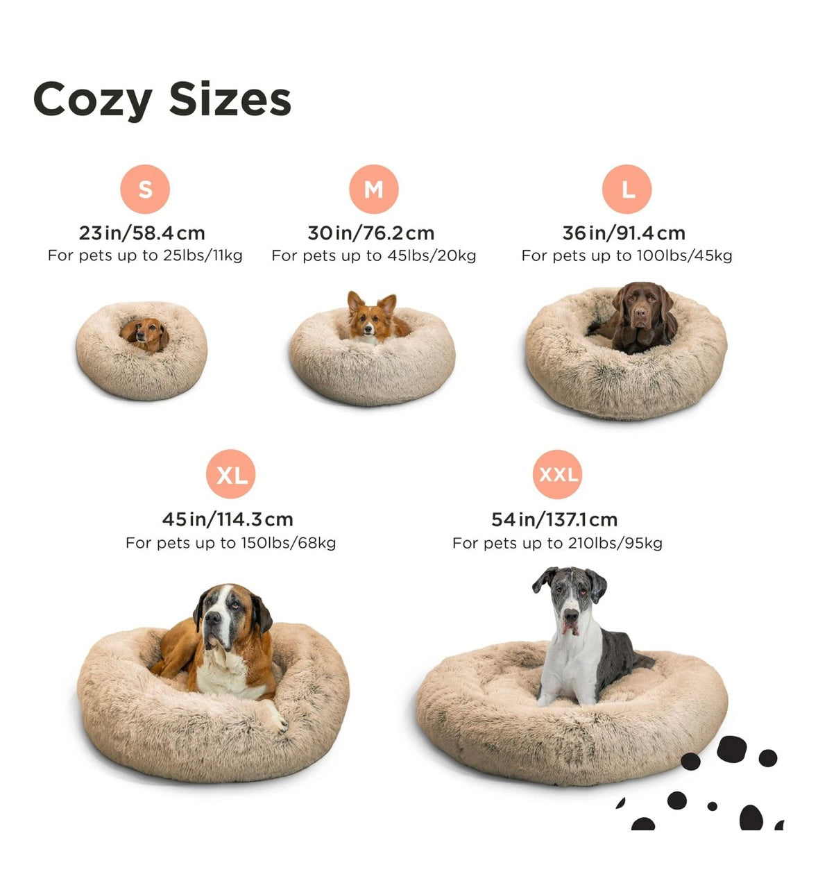 DOG BEDS
