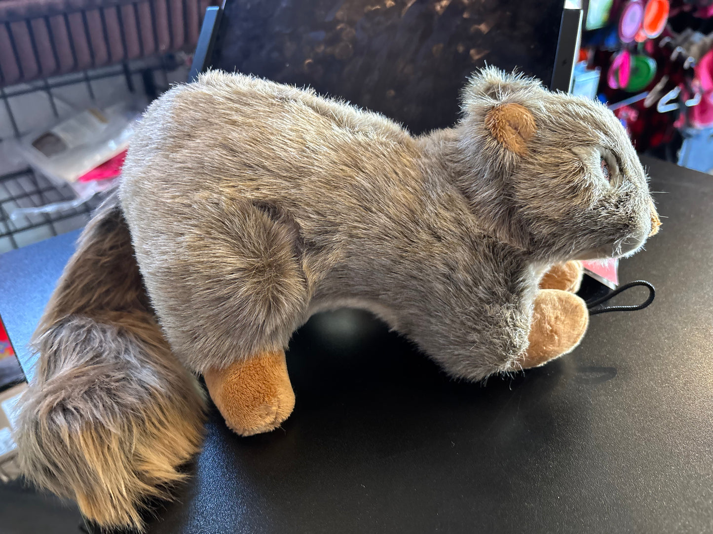 DOG TOYS