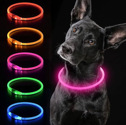 Light up Collar, cut to size, comes with charger