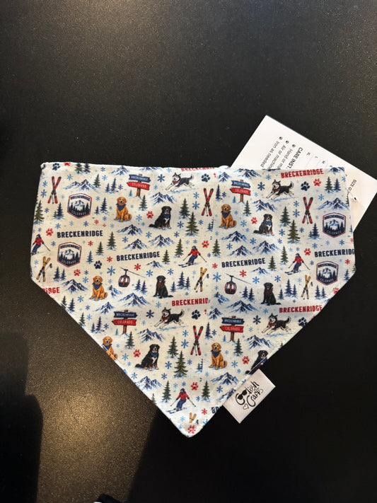 Coolish Crafts Bandanas