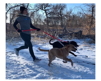 COLLARS-LEASHES-HARNESSES-BACKPACKS