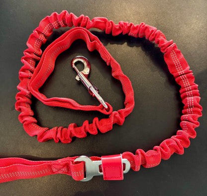 COLLARS-LEASHES-HARNESSES-BACKPACKS