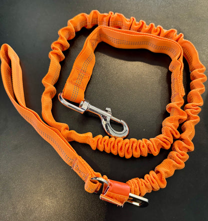 COLLARS-LEASHES-HARNESSES-BACKPACKS