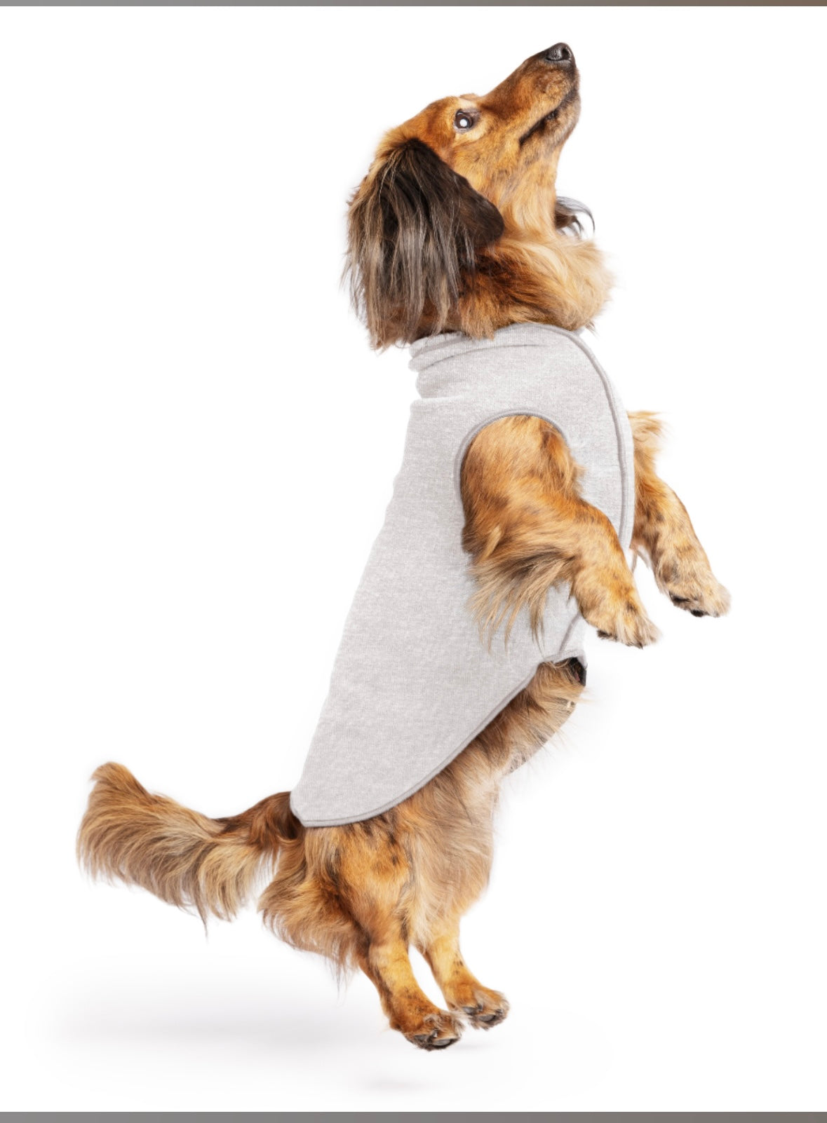 DOG CLOTHES- Boots, Winter Coats, Sweaters, Rain Coats, Sun Shields, Tick Protection Vest