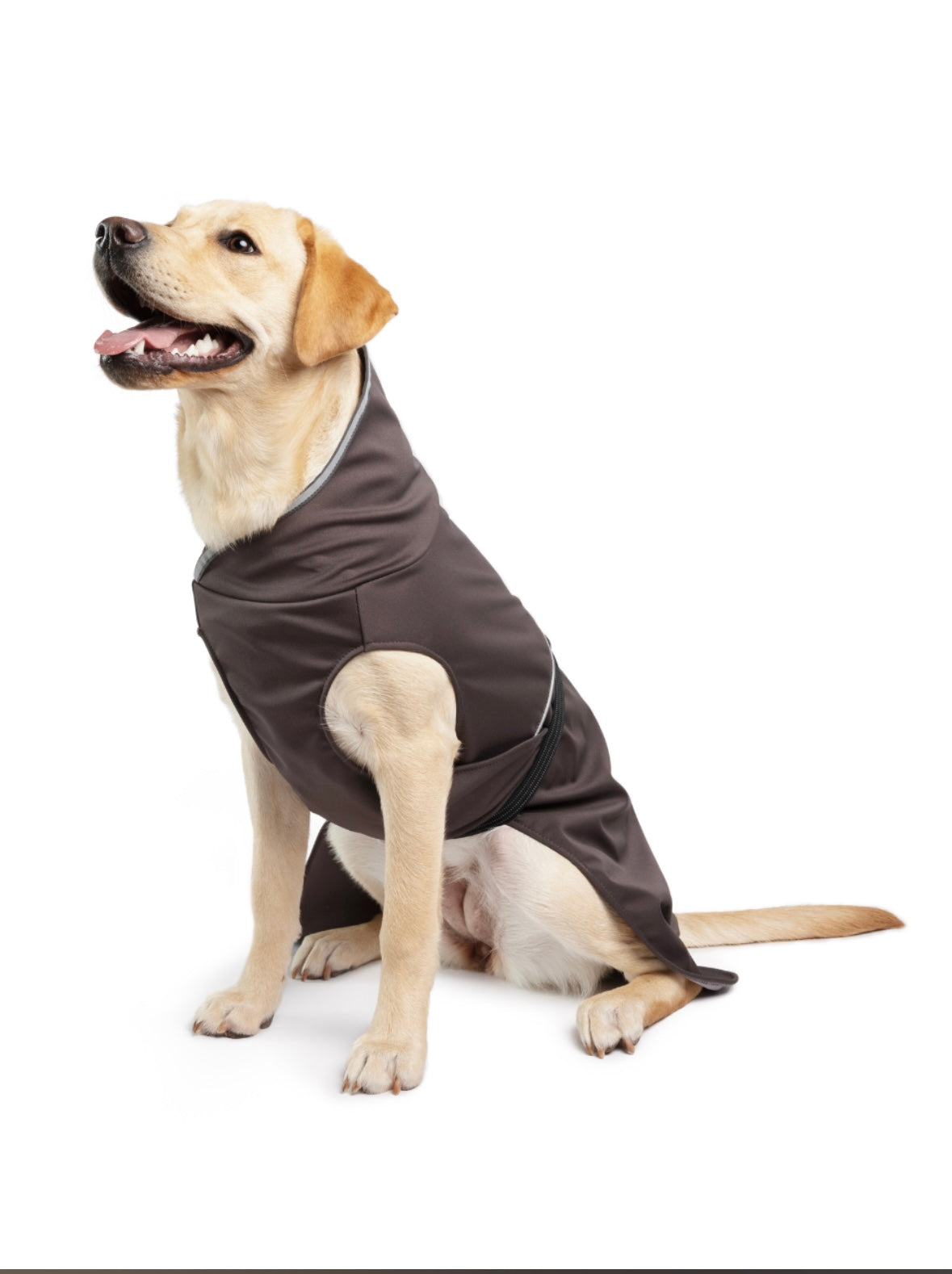 DOG CLOTHES- Boots, Winter Coats, Sweaters, Rain Coats, Sun Shields, Tick Protection Vest