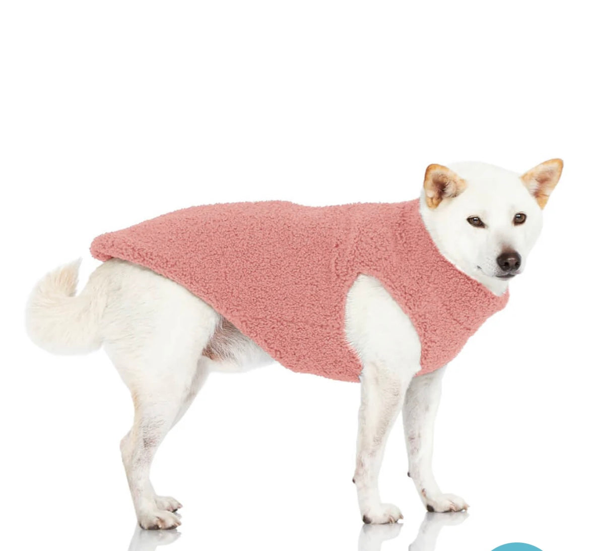 DOG CLOTHES- Boots, Winter Coats, Sweaters, Rain Coats, Sun Shields, Tick Protection Vest