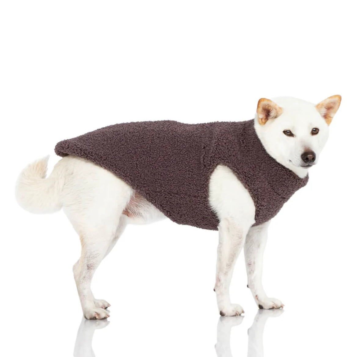 DOG CLOTHES- Boots, Winter Coats, Sweaters, Rain Coats, Sun Shields, Tick Protection Vest