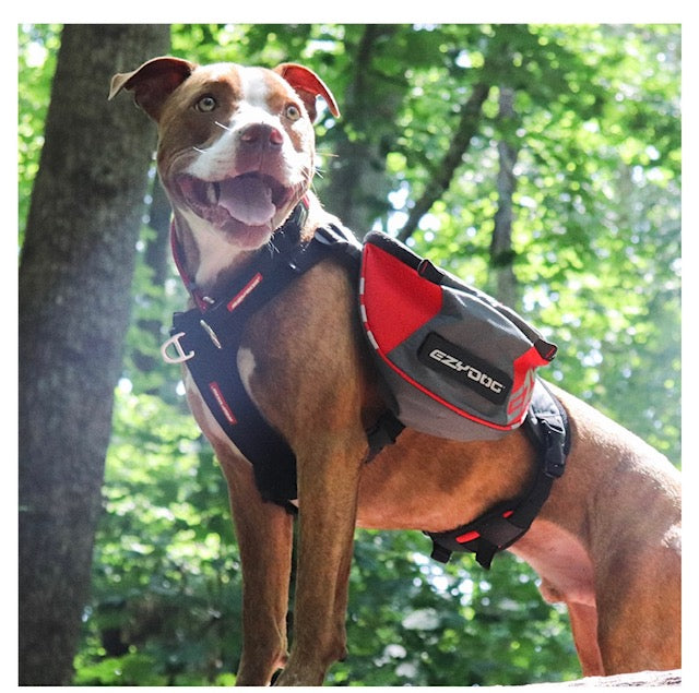 COLLARS-LEASHES-HARNESSES-BACKPACKS