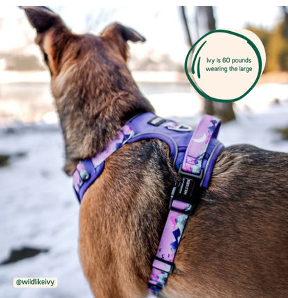 COLLARS-LEASHES-HARNESSES-BACKPACKS