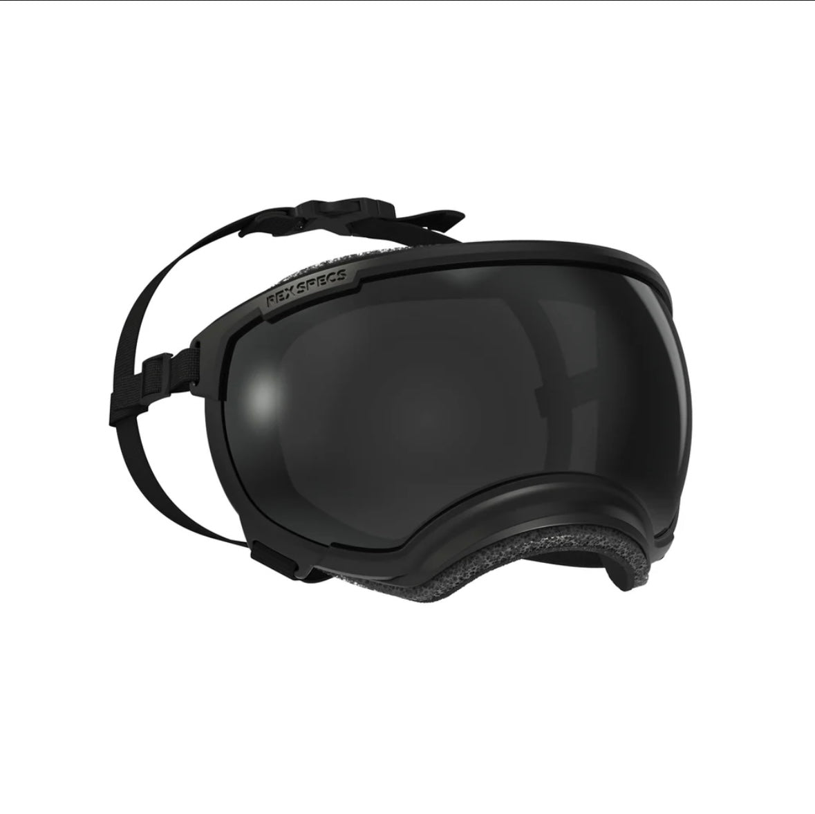 REX SPEC- GOGGLES & EAR PRO